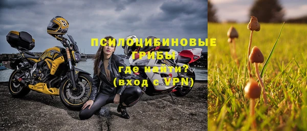 тгк Аркадак