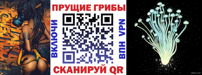 Псилоцибиновые грибы Cubensis Валдай